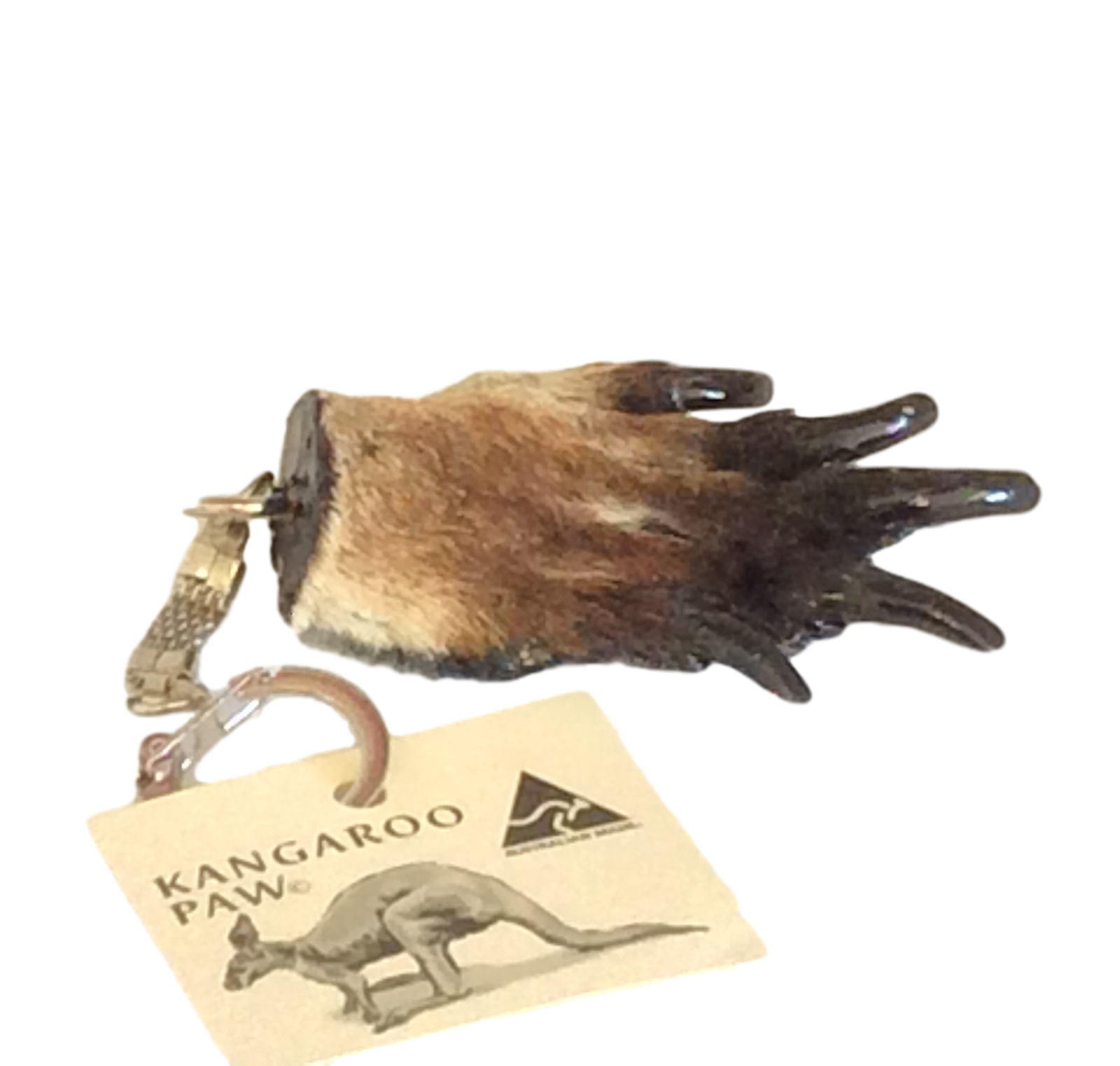 Kangaroo Paw Key Chain