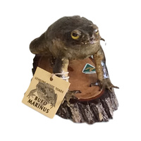 Cane Toad Paper Weight