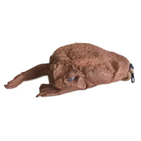 Cane Toad Leather Coin Purse With Legs - Small