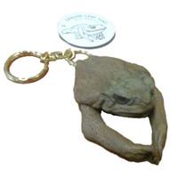 Cane Toad Key Ring With Legs