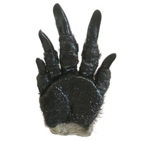 Kangaroo Paw Fridge Magnet