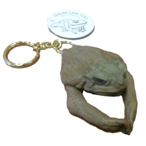 Cane Toad Key Ring With Legs