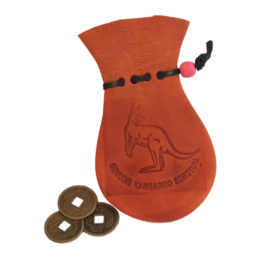 Coin Pouch + Three Lucky Coins