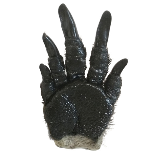 Kangaroo Paw Fridge Magnet
