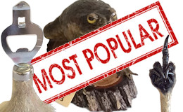Popular